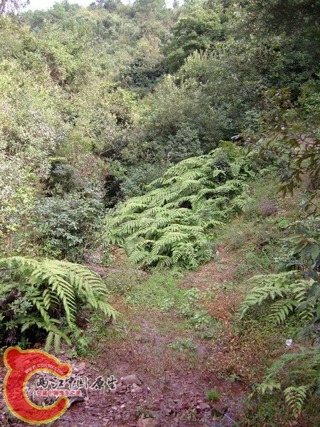 a3605.jpg