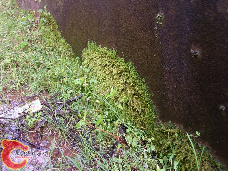 a3599.JPG