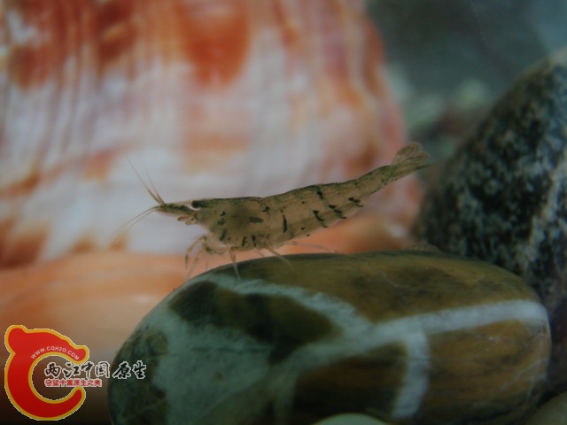 DSC07815.JPG