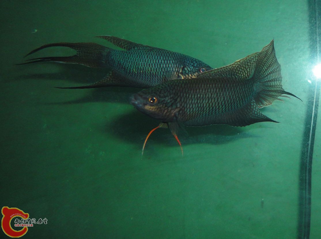 DSC07647.JPG