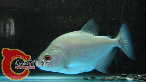 DSC04017_缩小大小.JPG