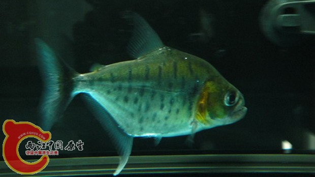 DSC04313_缩小大小_缩小大小.JPG