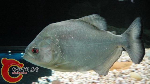 DSC03852_缩小大小_缩小大小.JPG