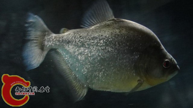 DSC04460_缩小大小_缩小大小.JPG