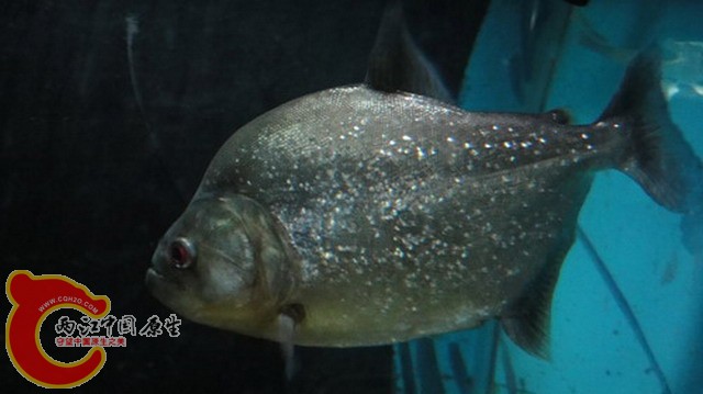 DSC04472_缩小大小_缩小大小.JPG