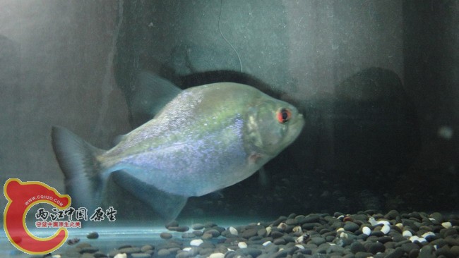 DSC04753_缩小大小.JPG