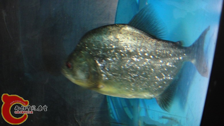 DSC05882_缩小大小.JPG
