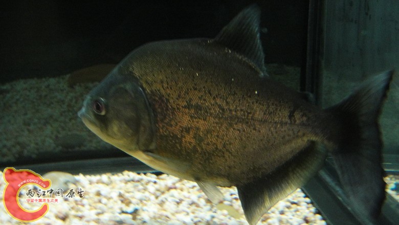 DSC06783_缩小大小.JPG