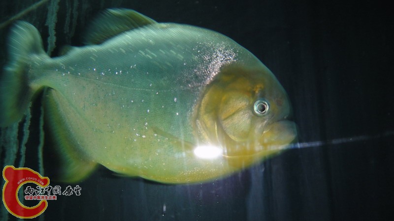 DSC07319_缩小大小.JPG