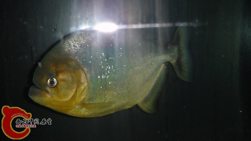 DSC07327_缩小大小.JPG