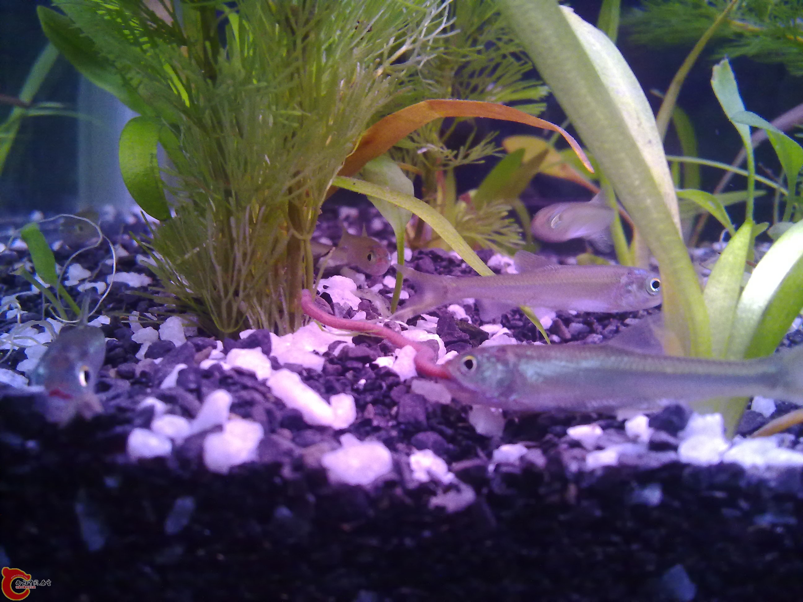 201110121246.jpg