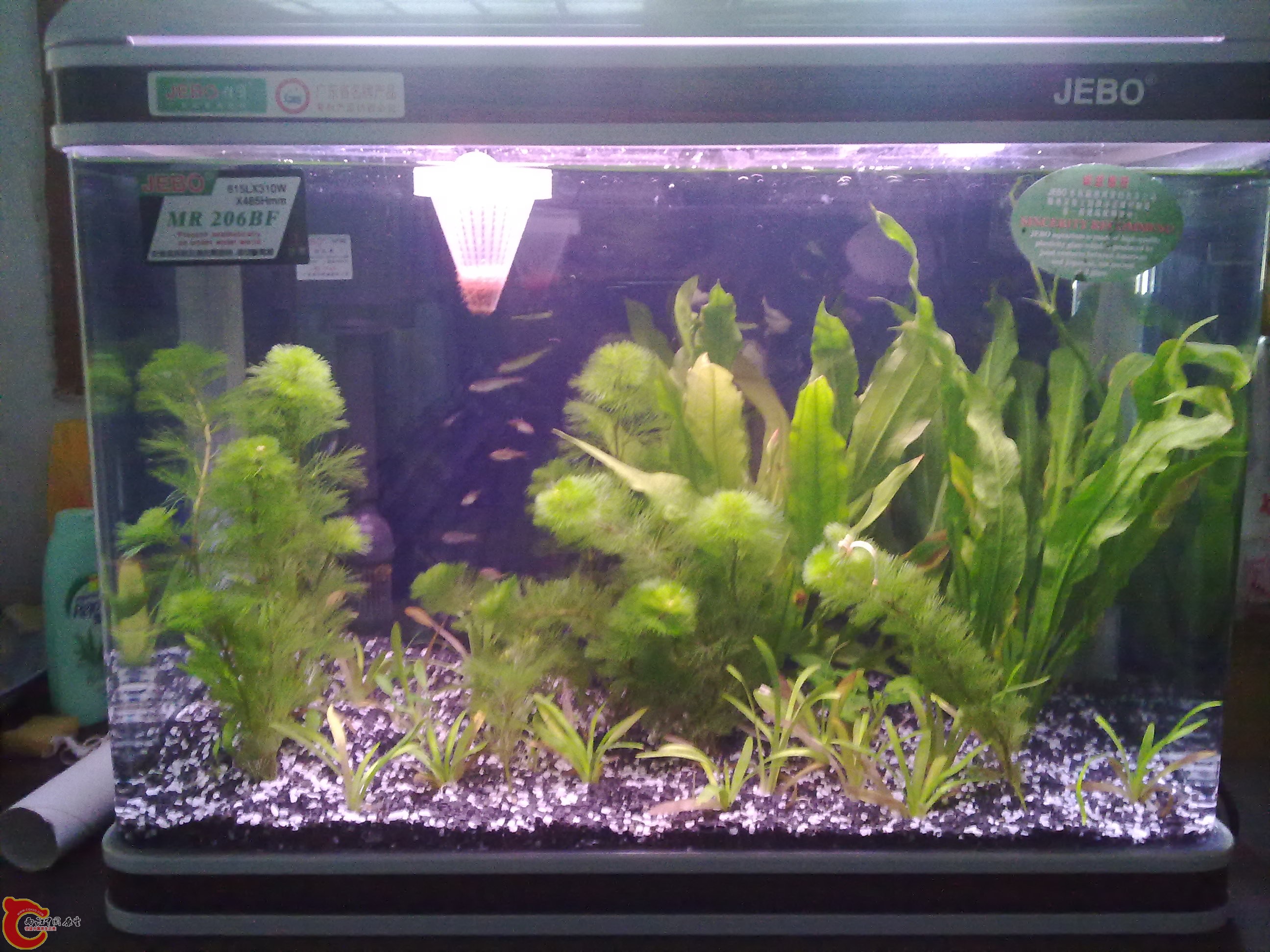 201110141252.jpg
