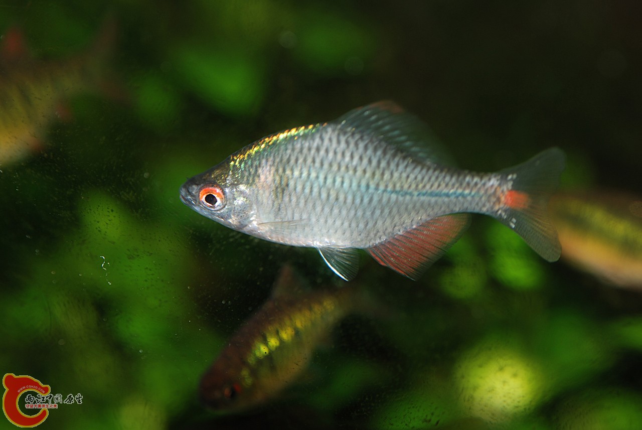 DSC_0911.JPG