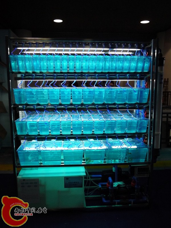 P1000675.jpg