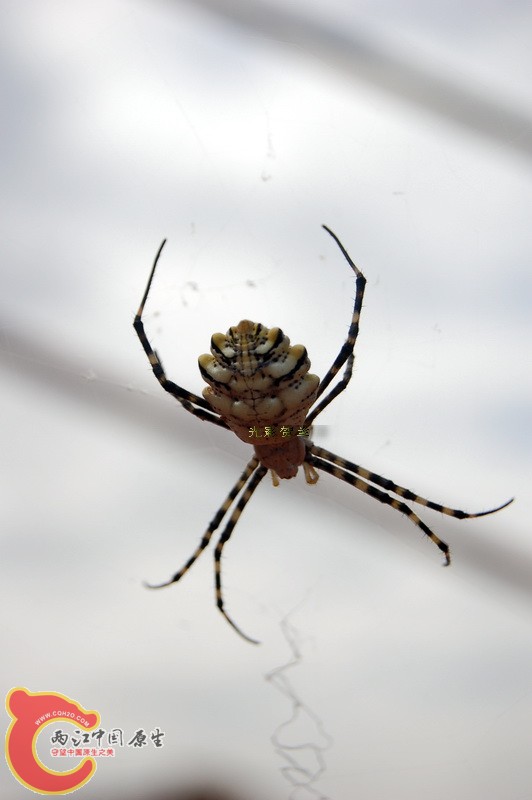 DSC_1883S.jpg