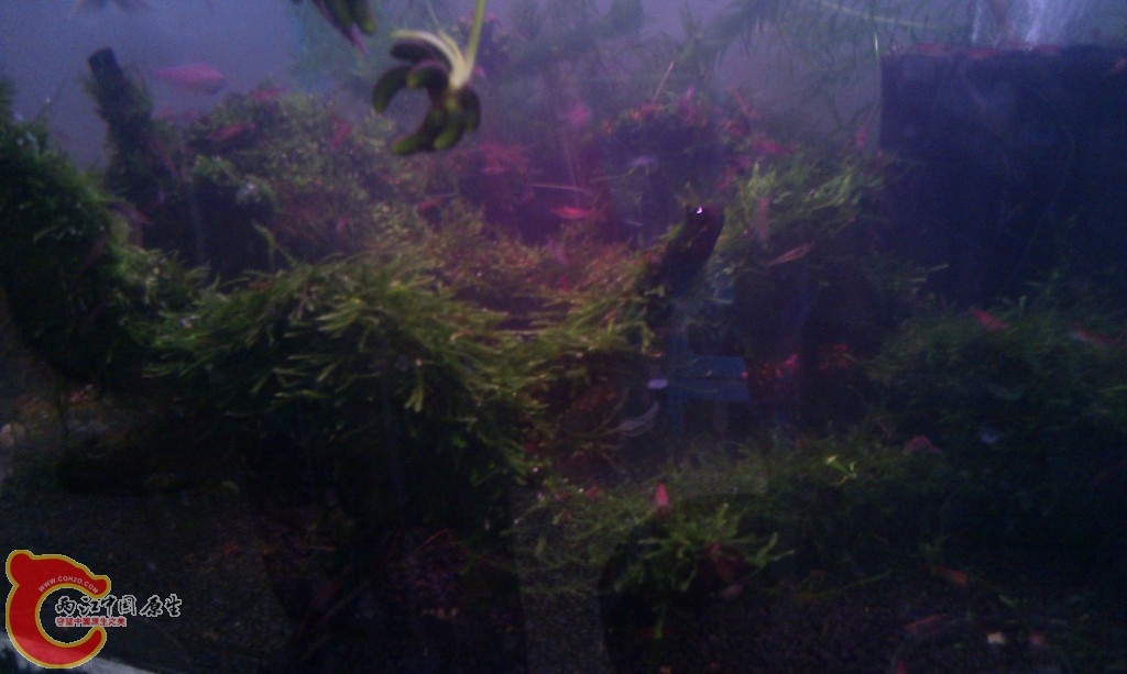 conew_imag0040.jpg