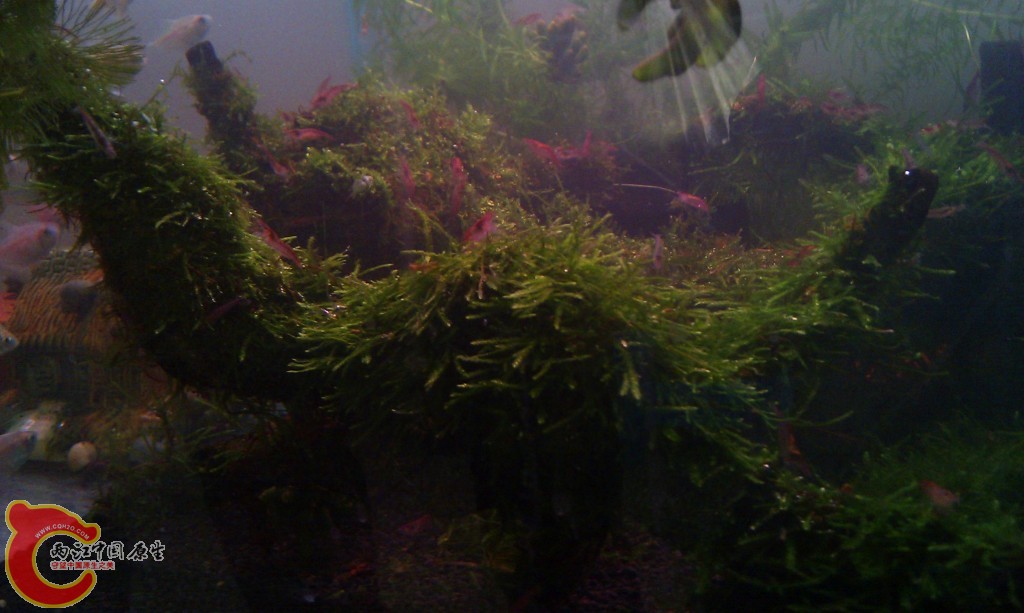 conew_imag0043.jpg