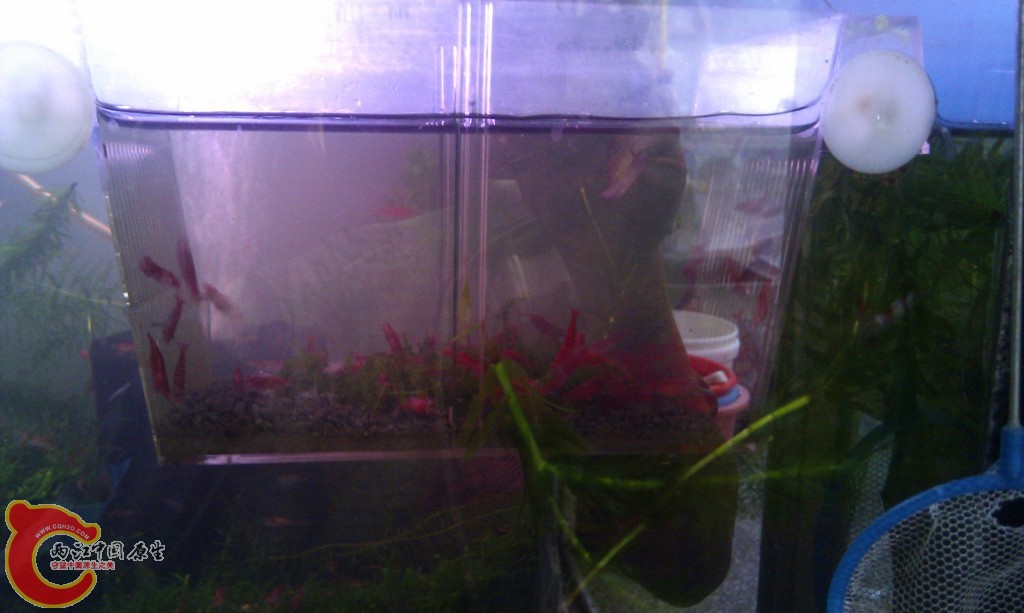 conew_imag0044.jpg