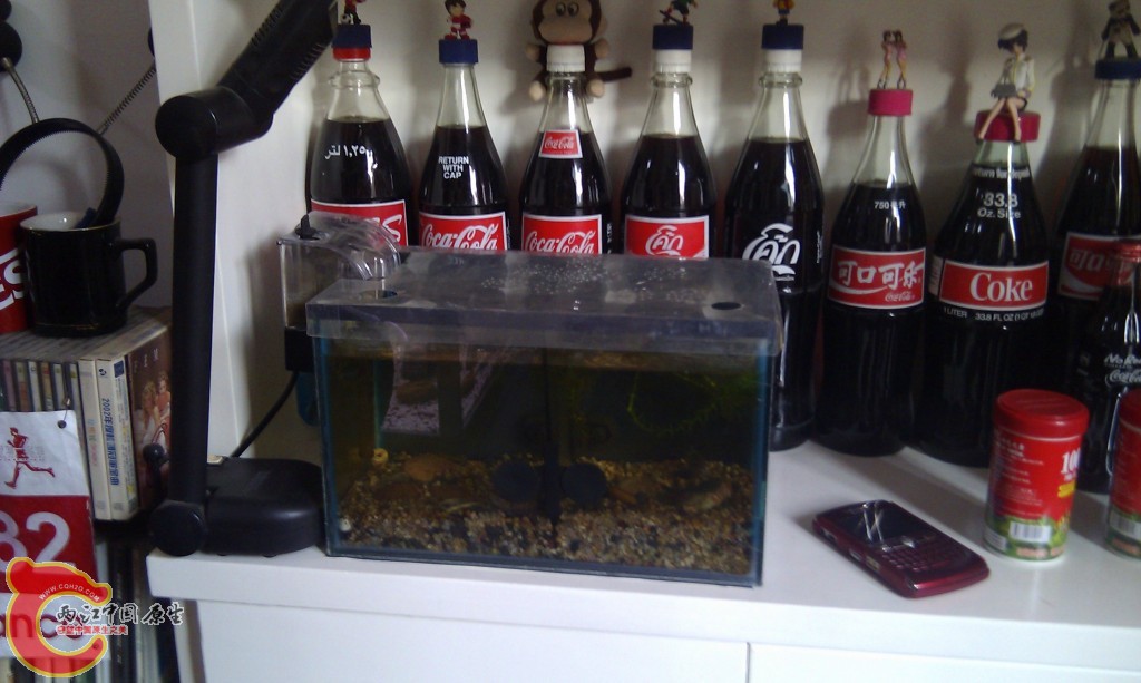 conew_imag0076.jpg