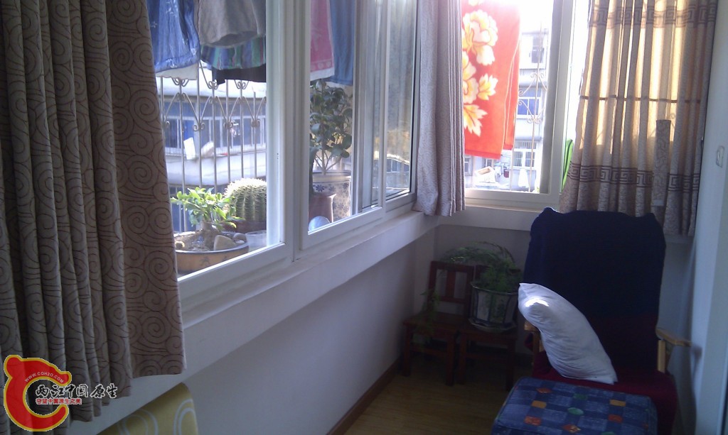 conew_imag0062.jpg