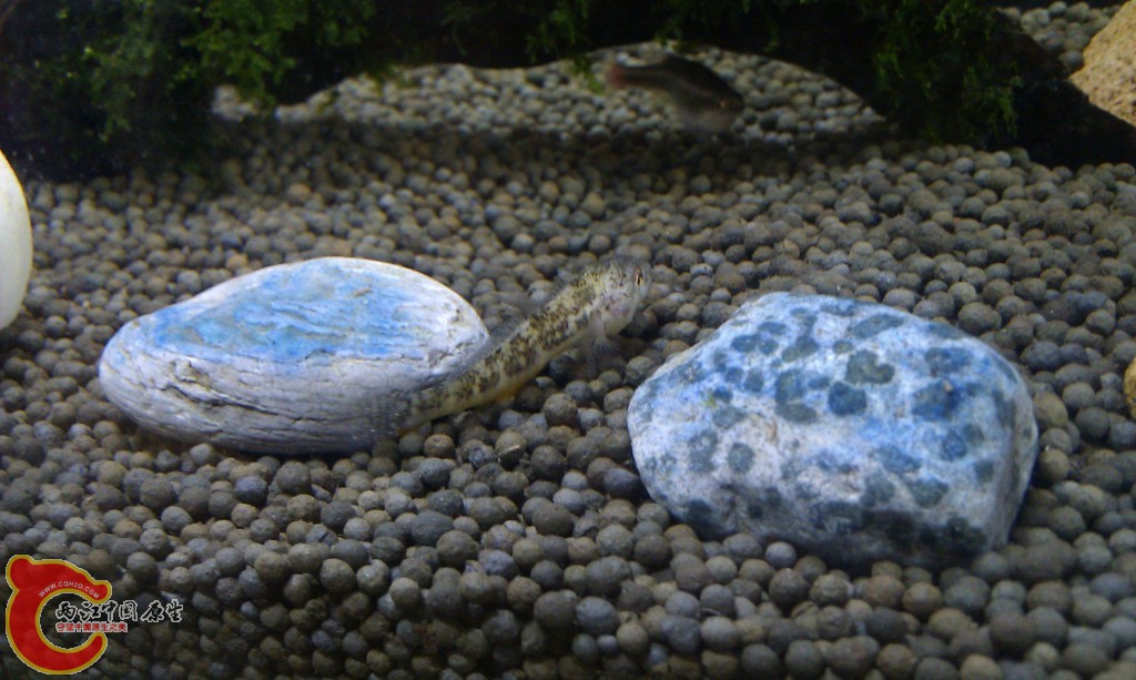 conew_imag0097.jpg