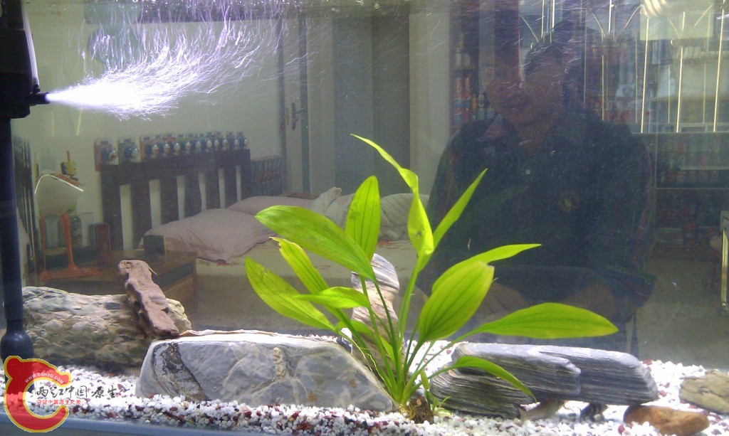 conew_imag0104.jpg