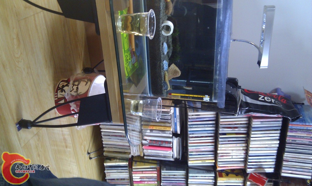 conew_imag0116.jpg