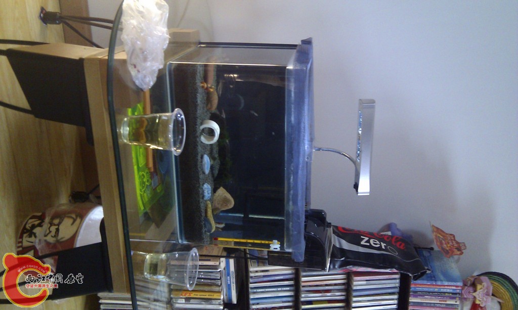 conew_imag0117.jpg