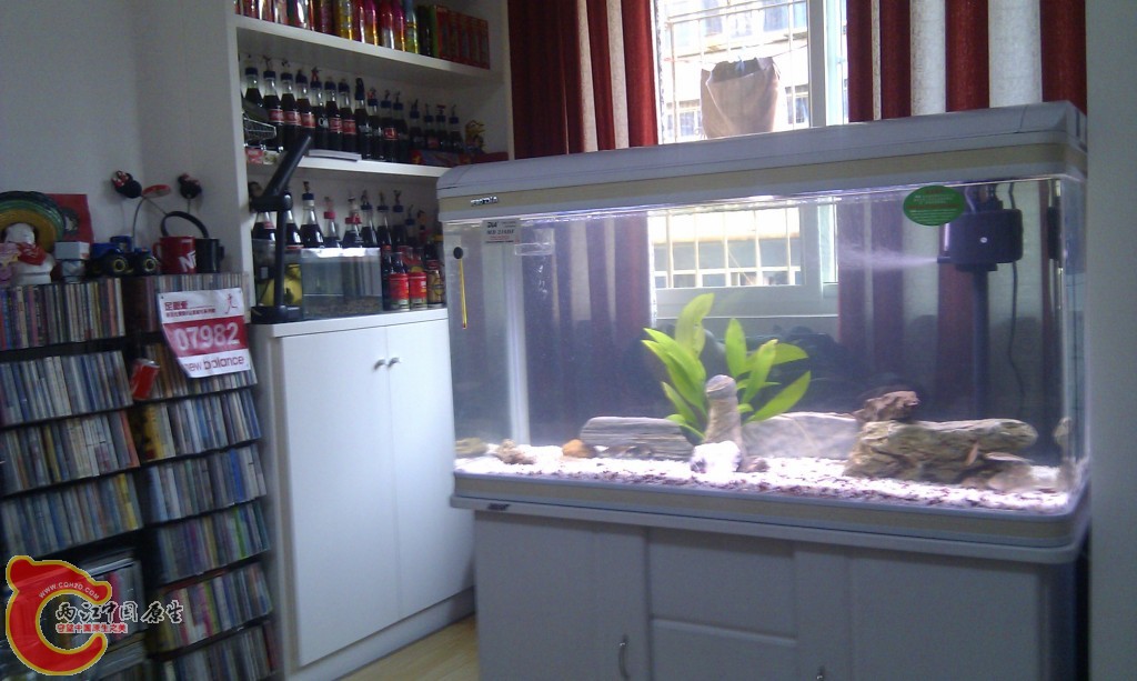 conew_imag0120.jpg