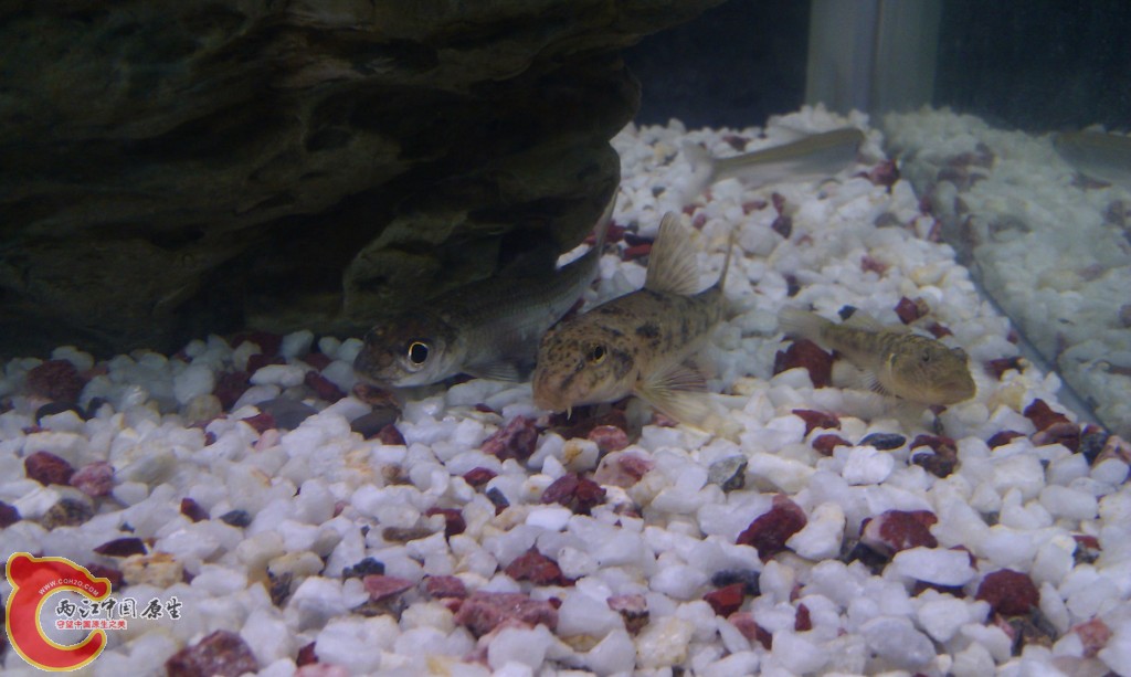conew_imag0129.jpg