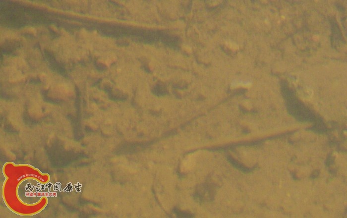 09.jpg