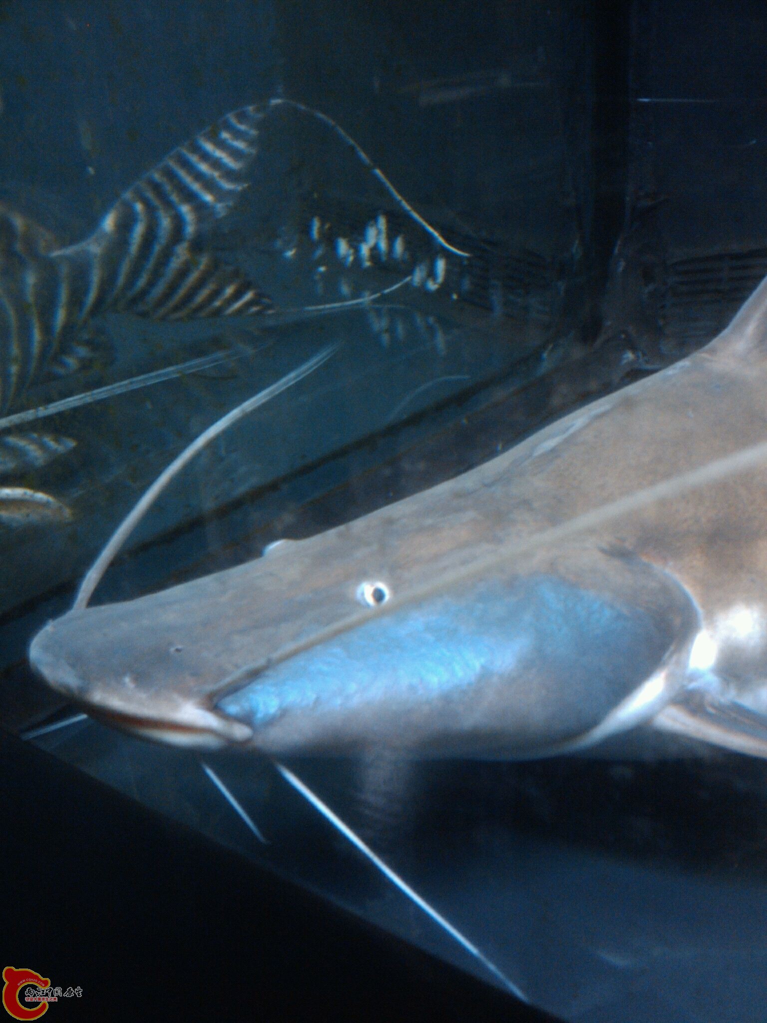Oct_17_2011_835.jpg