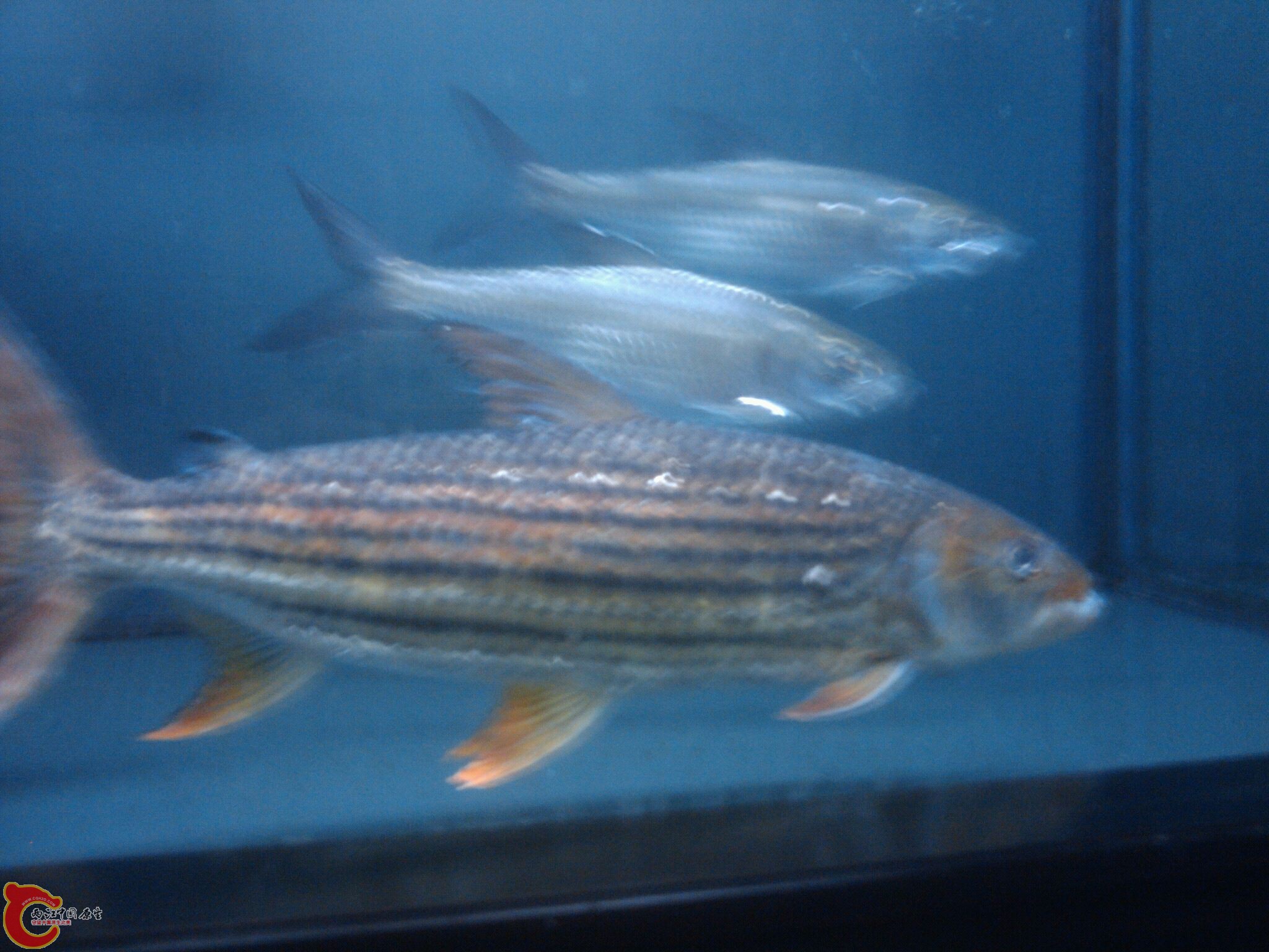 Oct_17_2011_6055.jpg
