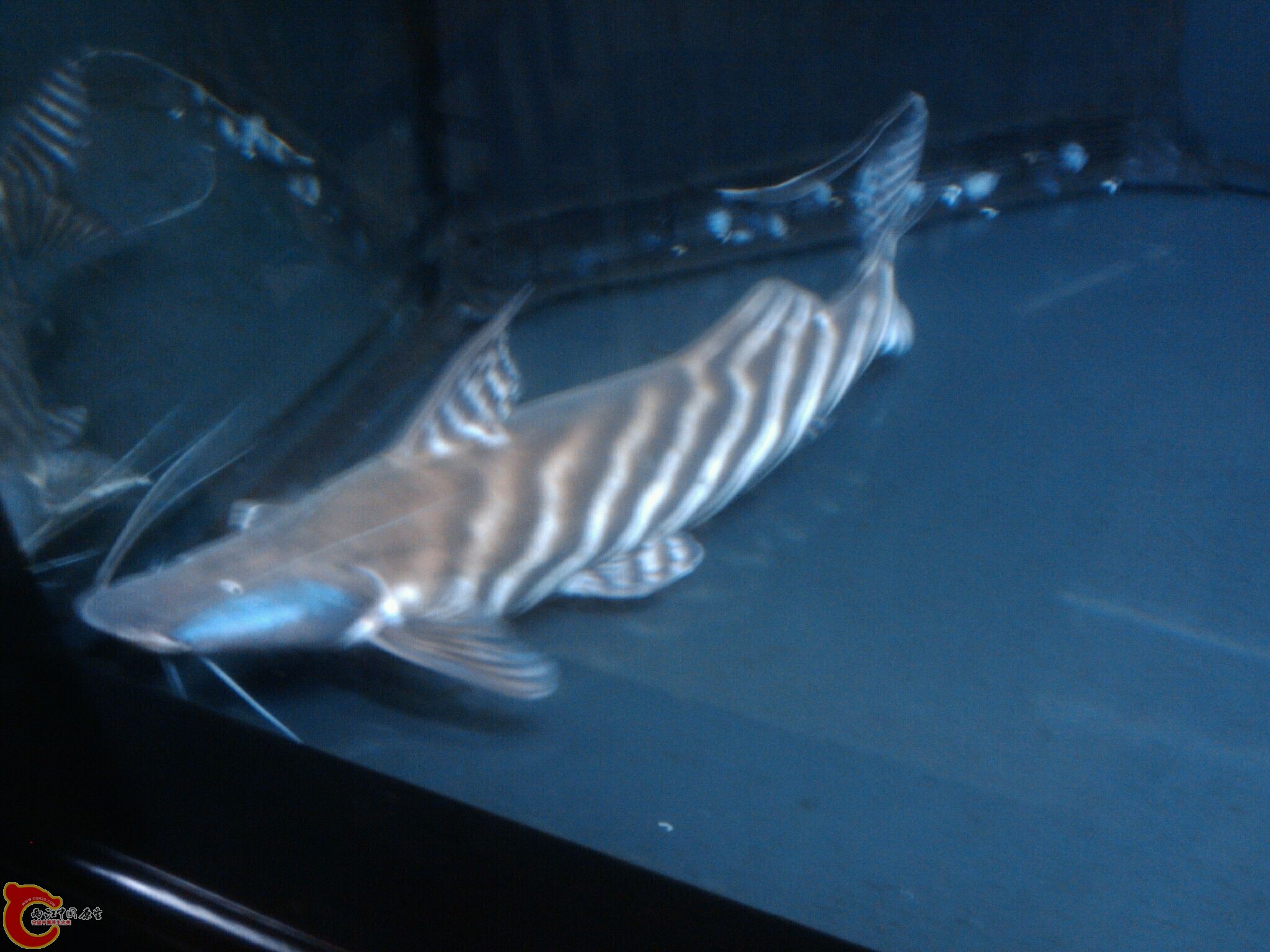 Oct_17_2011_8981.jpg