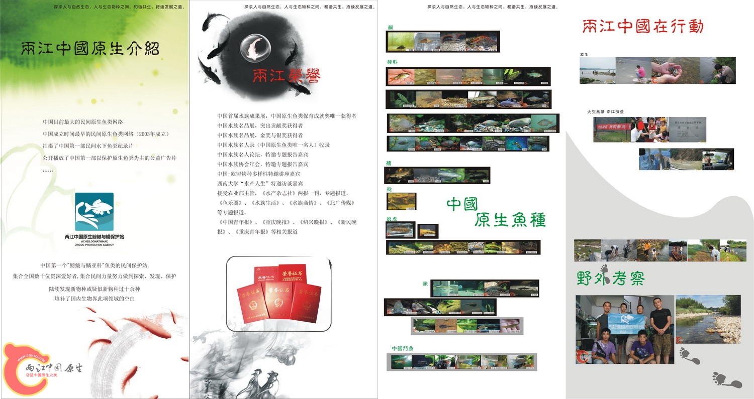 内=.jpg