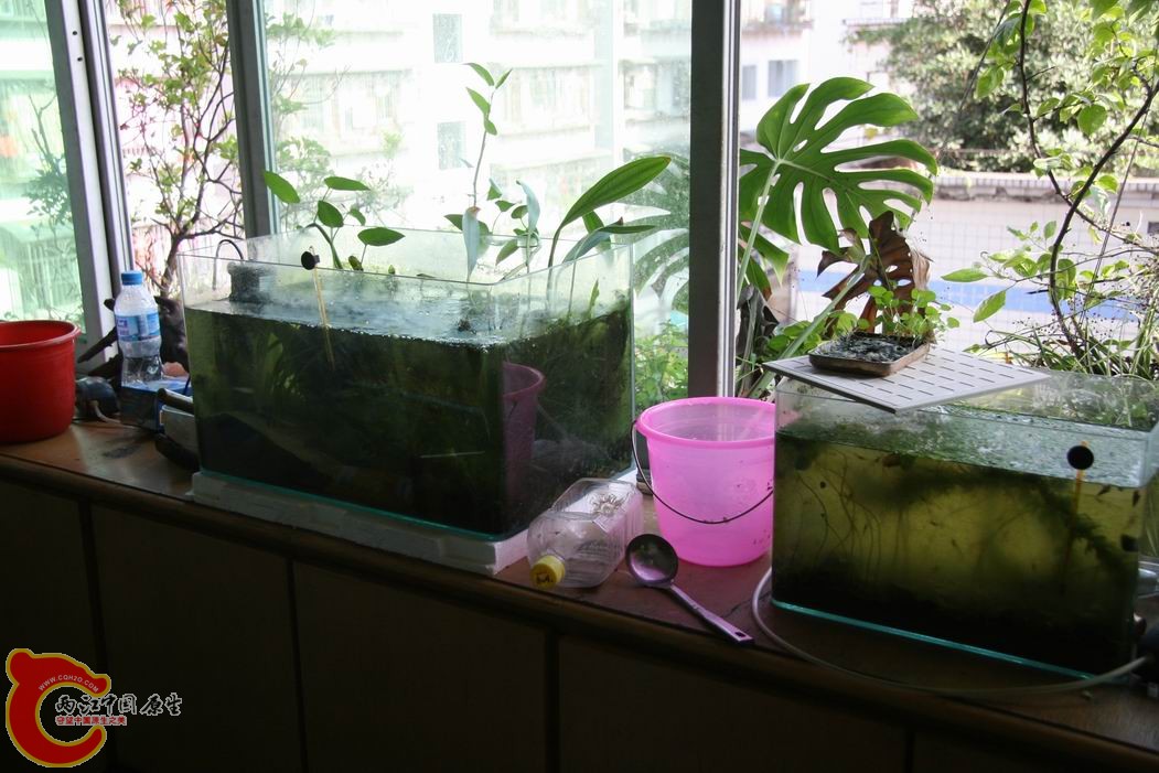 调整大小 IMG_5146.jpg