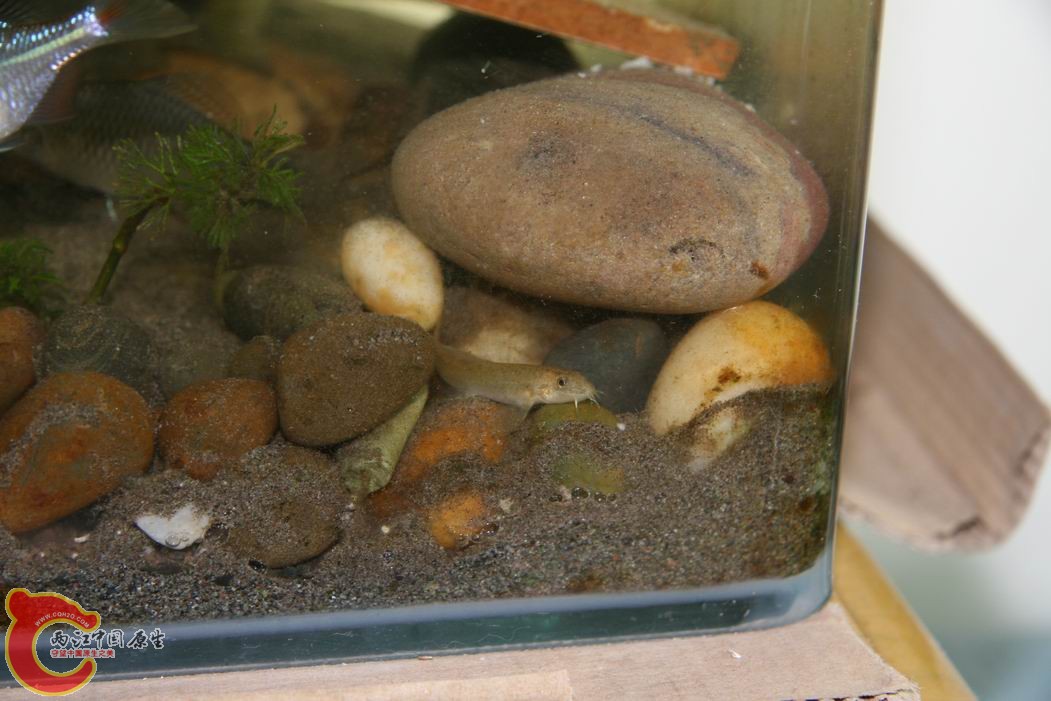 调整大小 IMG_5115.jpg