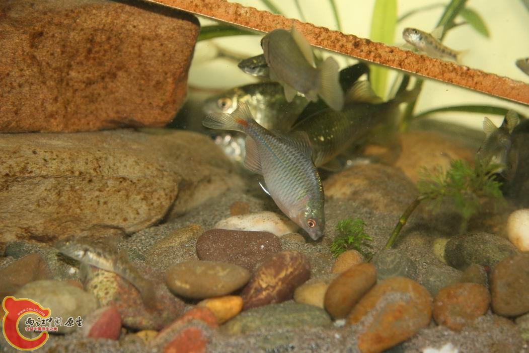 调整大小 IMG_5116.jpg