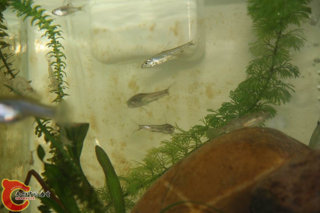 调整大小 IMG_5121.jpg