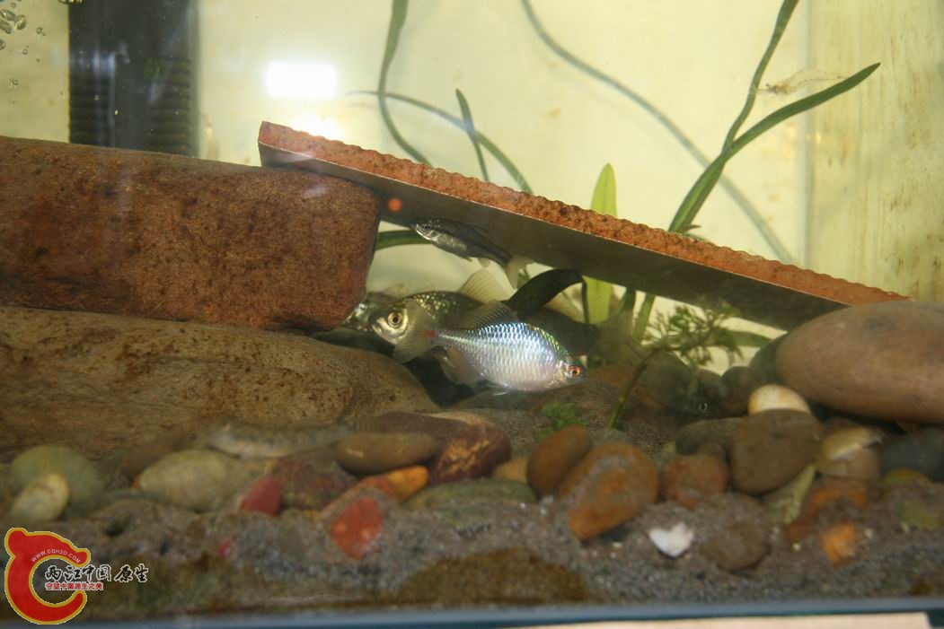 调整大小 IMG_5122.jpg