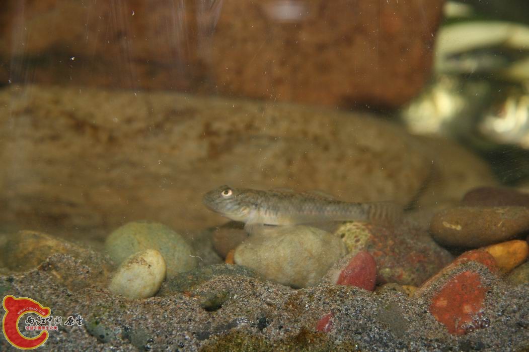 调整大小 IMG_5123.jpg