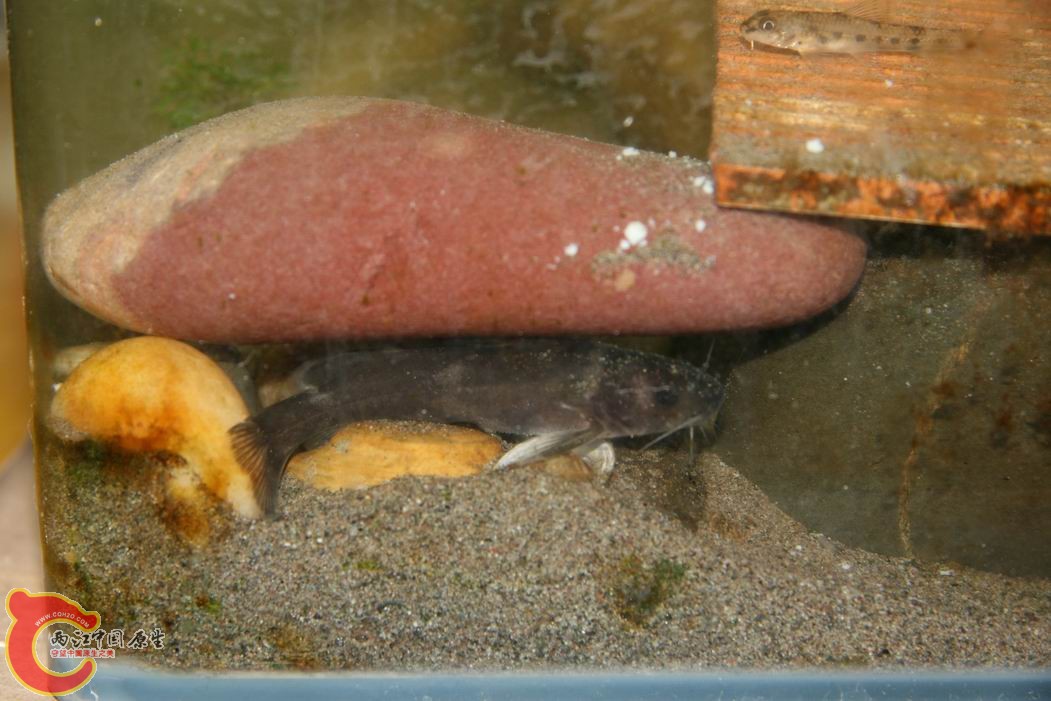 调整大小 IMG_5129.jpg