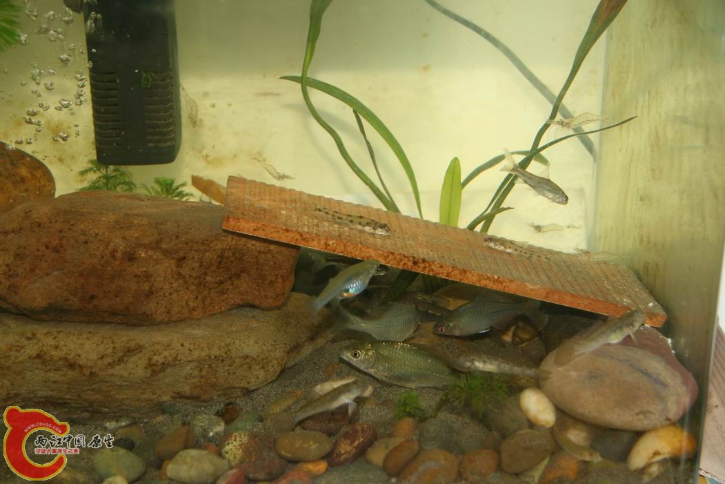 调整大小 IMG_5130.jpg