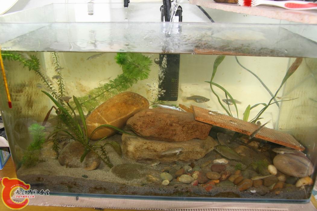 调整大小 IMG_5131.jpg