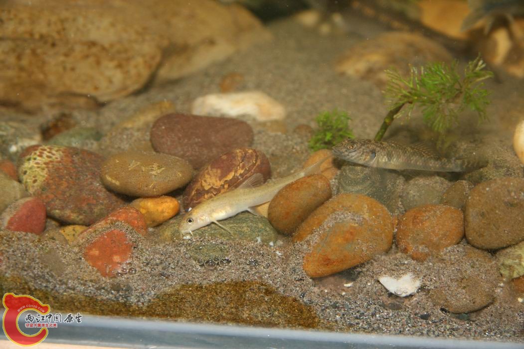 调整大小 IMG_5133.jpg