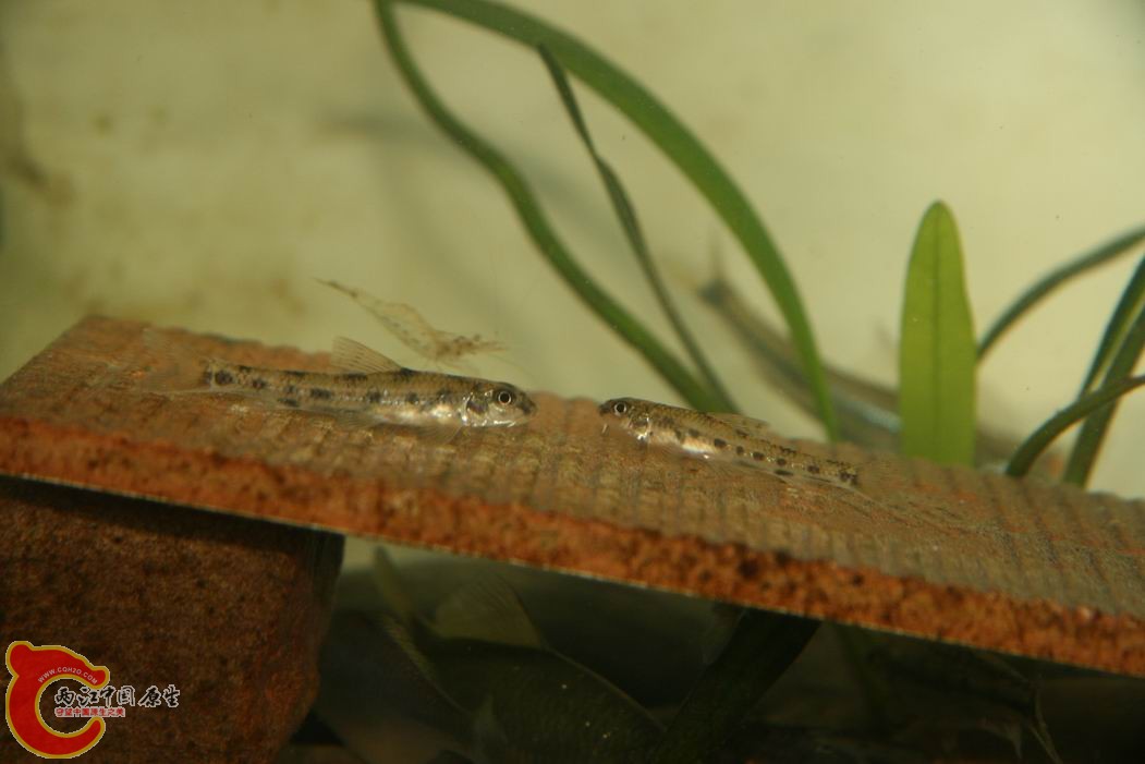 调整大小 IMG_5134.jpg