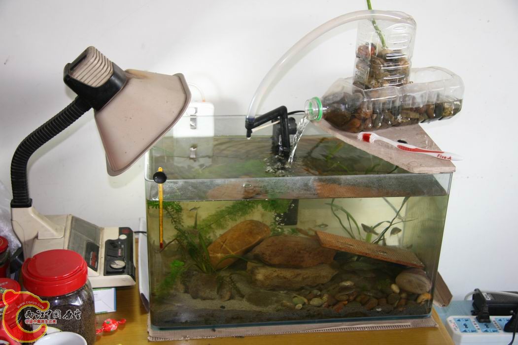 调整大小 IMG_5135.jpg