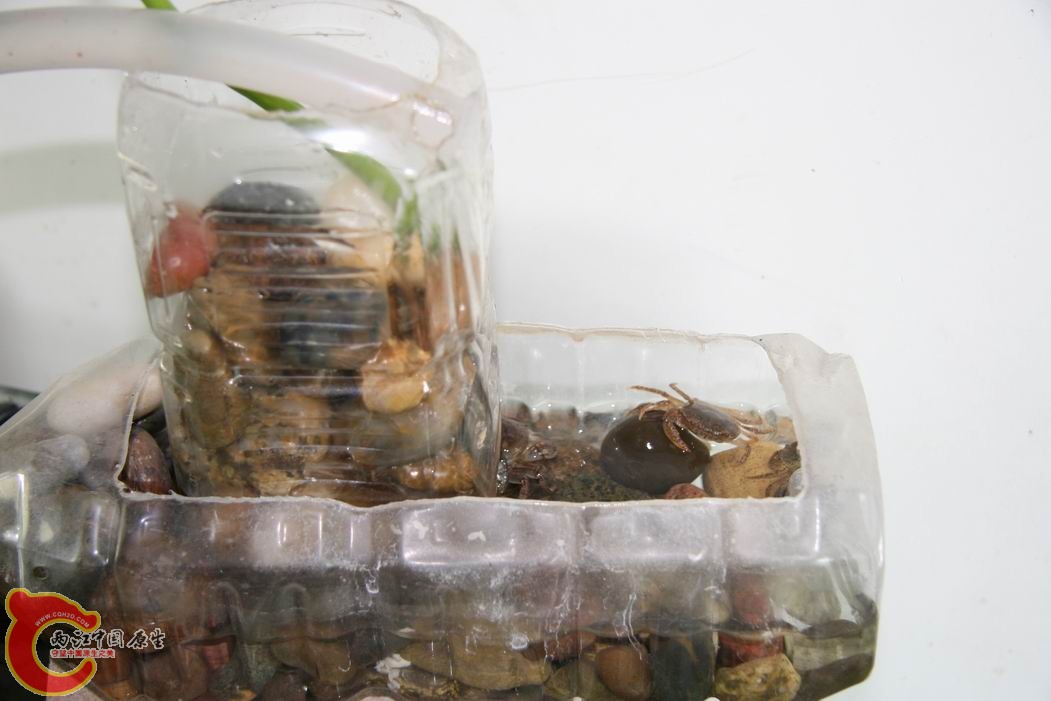 调整大小 IMG_5137.jpg