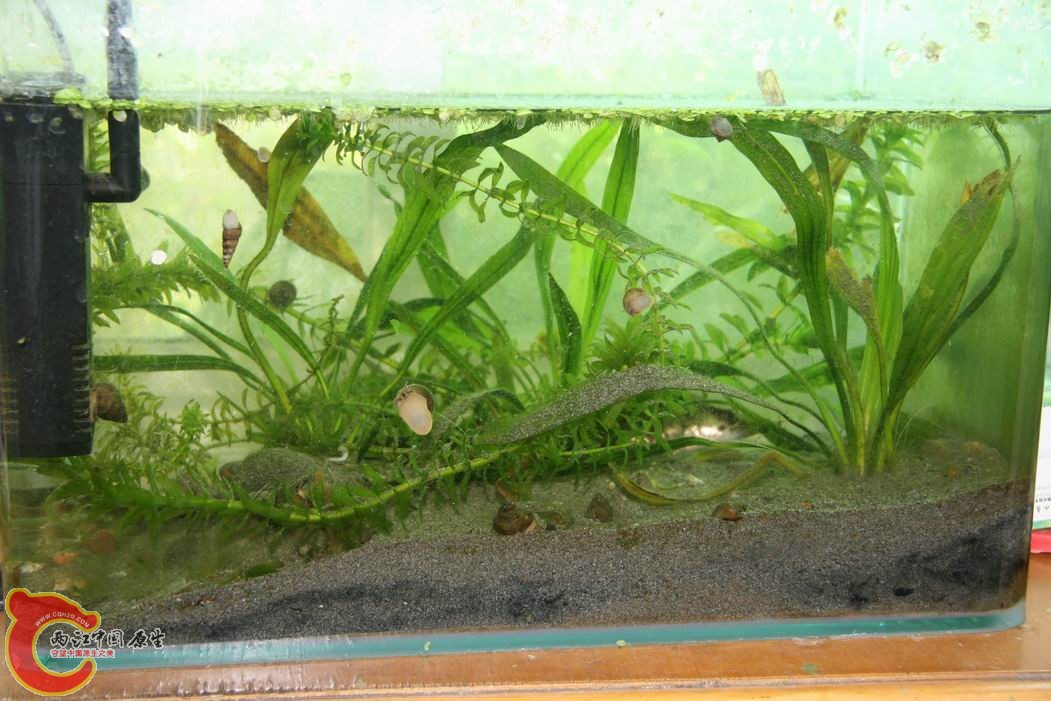 调整大小 IMG_5139.jpg