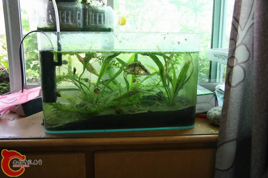 调整大小 IMG_5142.jpg